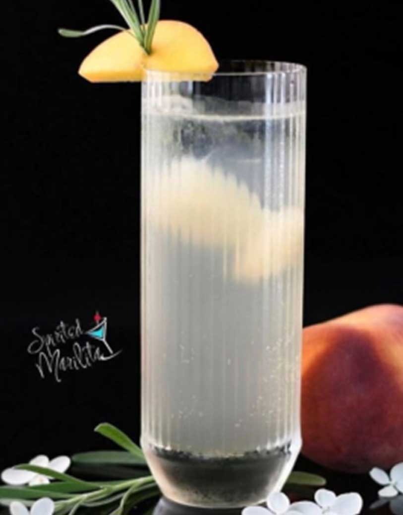 SLIM HIBALL TUMBLER (B1249)