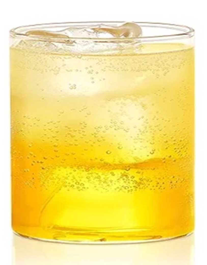 JUICE GLASS ROUND (BOROSILICATE-17)