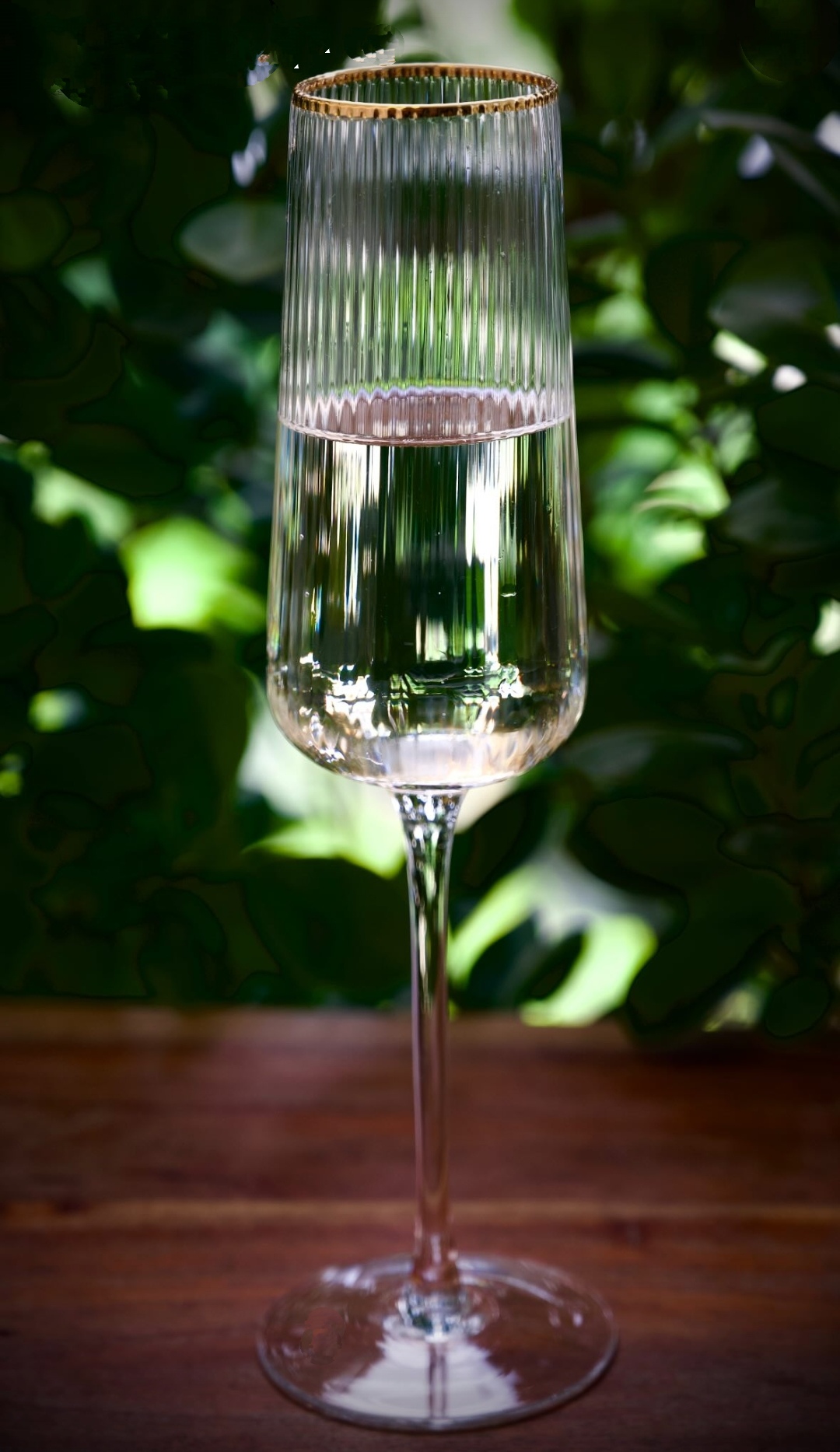 GOLD Rim Flute Glass  230ml Set Of 6 Pcs