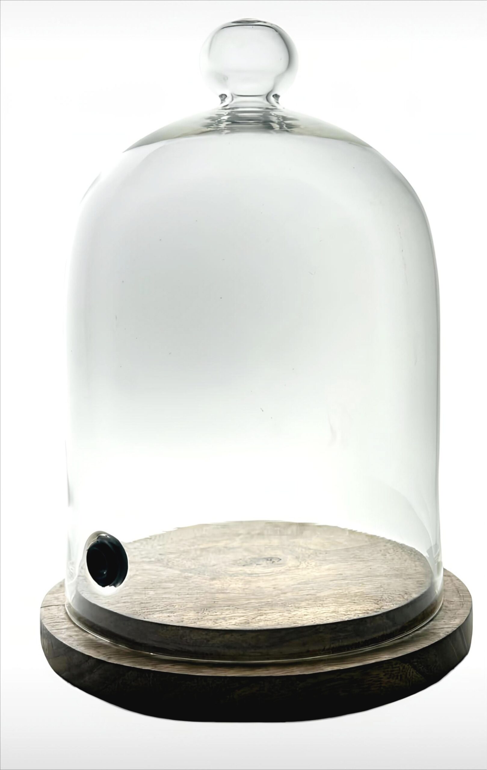 Big Glass Dome Height-30cm,Dome Bottom DI-18cm, With Wooden Base Dome H-33cm