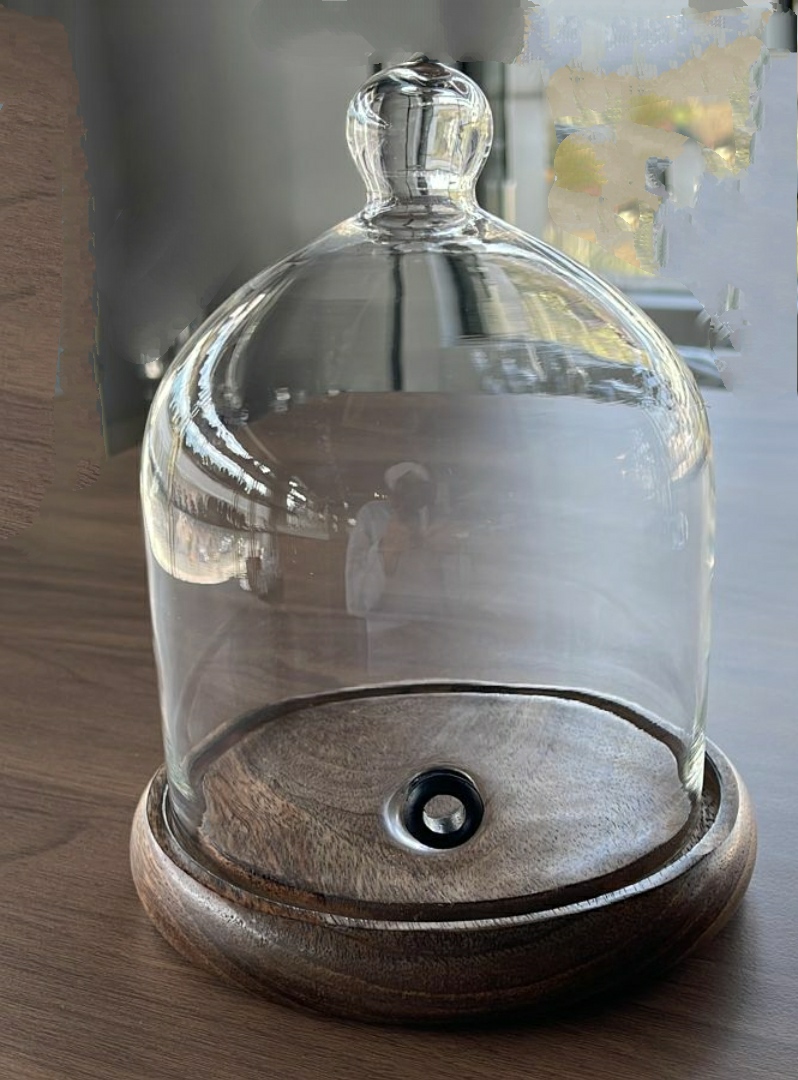 Med. Glass Dome Without Hole Height-24cm,Dome Bottom DI-15cm, With Wooden Base Dome H-25.5cm